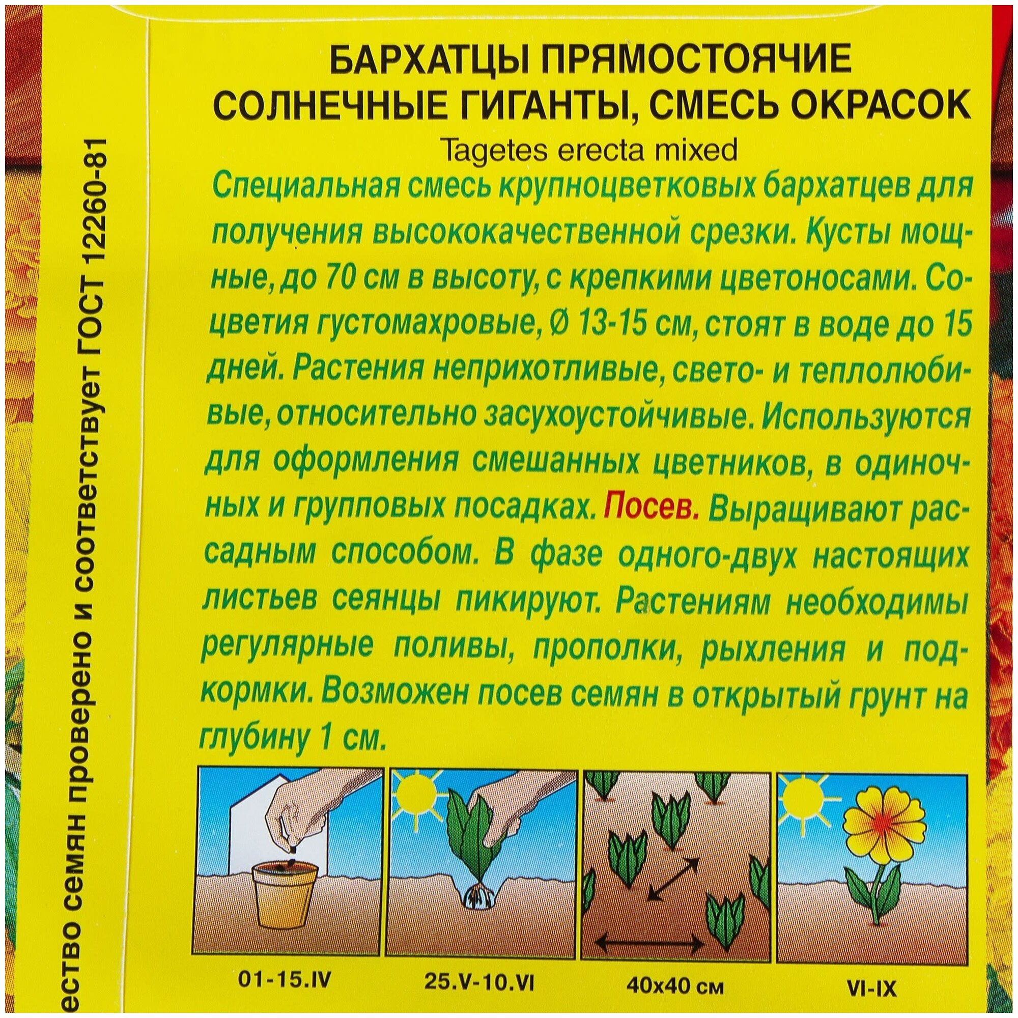 Бархатцы прямостоящие «Солнечные гиганты» смесь окрасок Аэлита - фото №3
