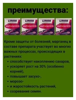 Марганцовка для растений от микробов, Перманганат калия, марганец. Удобрение. Обеззараживатель. Набор 4 упаковки по 10 гр. ОЖЗ Кузнецова - фотография № 3