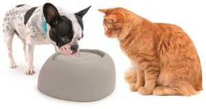 Imac pet fountain cheap