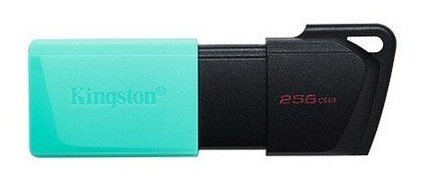 Накопитель USB 3.2 256Гб Kingston Exodia M (DTXM/256GB), черный/бирюзовый