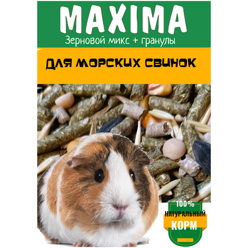 Корм для морских свинок MAXIMA 1000 гр