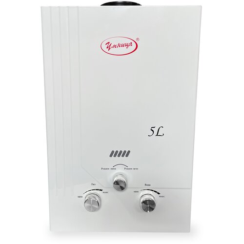 Газовый водонагреватель Умница модель ГКД-5лмин дымоходная белый цвет панели 499900₽