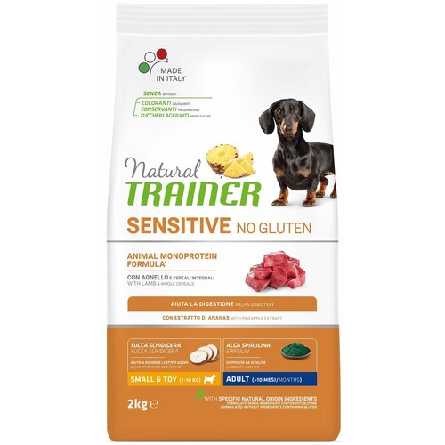 Сухой корм для собак TRAINER Natural Sensitive No Gluten, при чувствительном пищеварении, гипоаллергенный, ягненок 1 уп. х 1 шт. х 2 кг (для мелких и карликовых пород) trainer сухой корм для взрослых собак мелких пород trainer natural sensitive no gluten adult mini без глютена с ягненком 2 кг