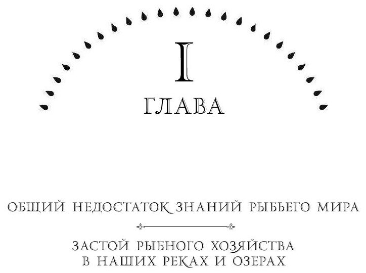 Рыбалка в наших реках и озерах - фото №10