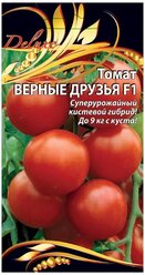Семена Ваше хозяйство Томат Верные друзья F1 Суперурожайный раннеспелый гибрид универсального использования для выращивания под пленочными укрытиями. Растения индетерминантные, высотой до 2м. Плоды округлые, гладкие, плотные, красные, массой 90-100г, располагаются в кистях по 7-12 штук. Идеален для засолки и консервирования. Ценность гибрида: высокая и стабильная урожайность, отличные вкусовые качества, устойчивость к перепадам температур и болезням. 0,1гр. цв./п