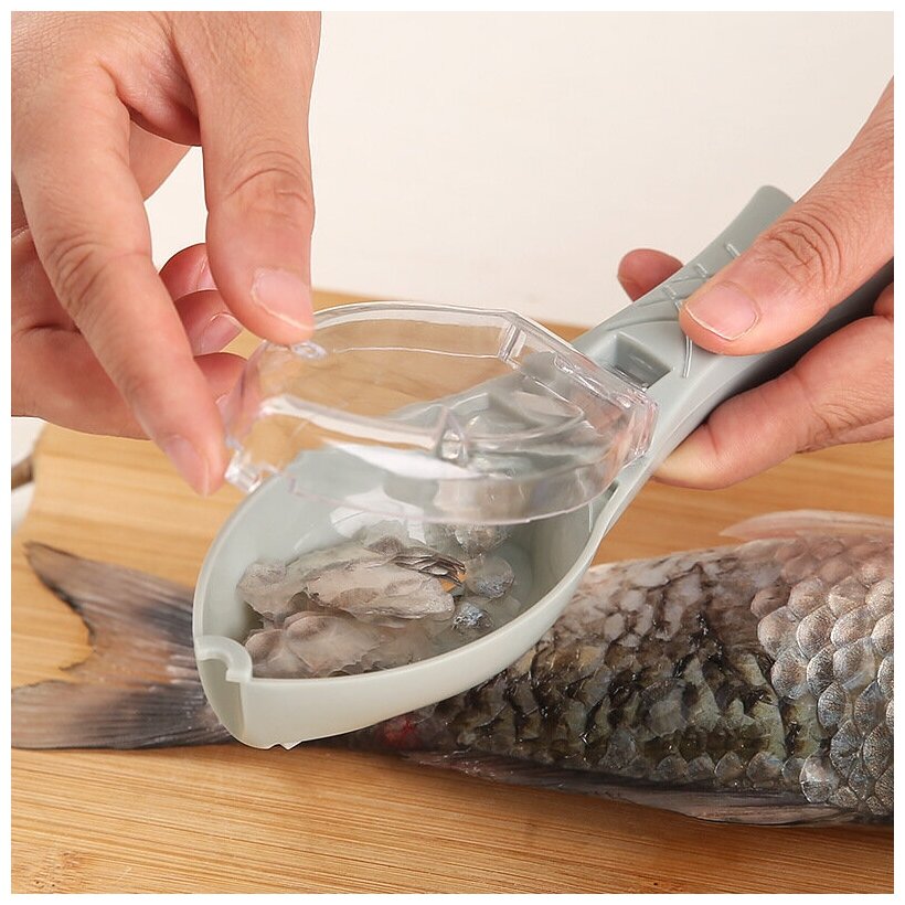 Рыбочистка с контейнером для чешуи, чистка для рыбы, нож для чистки рыбы - фотография № 4