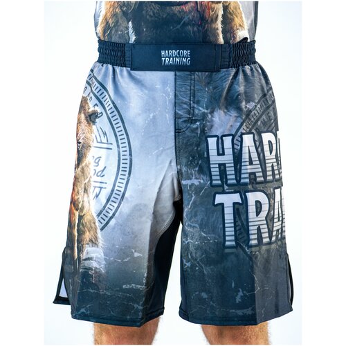 Рашгард Hardcore Training х Ground Shark Master LS (S)