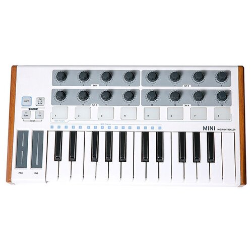 pandaminic midi контроллер 25 клавиш laudio Worldemini MIDI-контроллер, 25 клавиш, LAudio