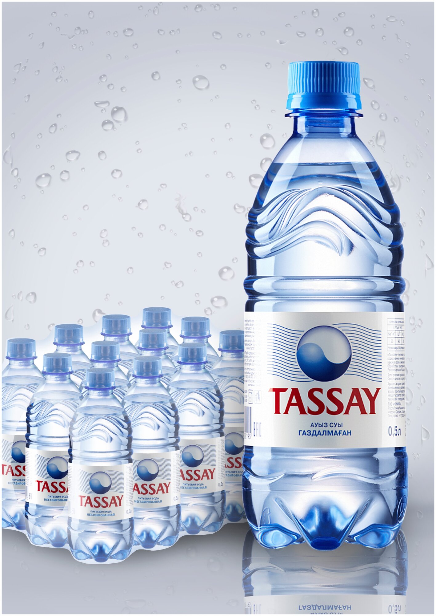 TASSAY/ тассай/ Минеральная природная столовая питьевая вода/ негазированная/ 12 шт. по 0,5 л - фотография № 5