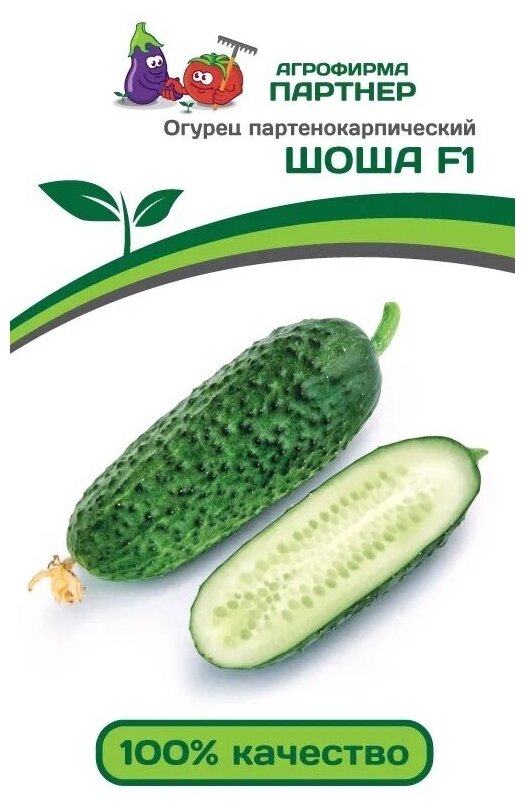 Семена Огурец Шоша F1 /Агрофирма Партнер/ 1 упаковка, 5 семян