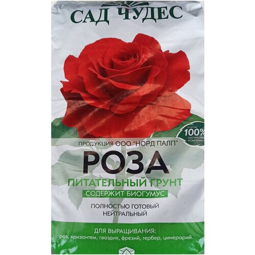 Сад Чудес Кактус