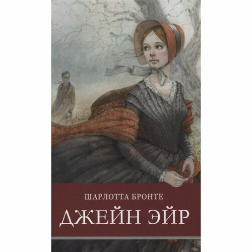 Книга Стрекоза Джейн Эйр. 2021 год, Бронте Ш.