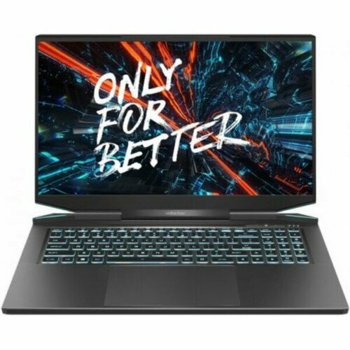 Ноутбук Maibenben X757 173 QHD IPSR7-5800H16Gb512Gb SSDRTX3070 8GbLinuxX757QSFELBRE0 Black 11928600₽