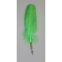 Перьевая ручка с каллиграфическим пером. Цвет зеленый. Длина около 30 см.;
Будьте внимательны - это не ручка,  ...