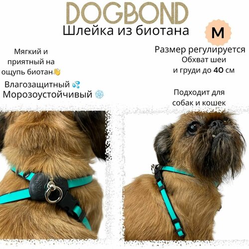 Шлейка Dogbond 