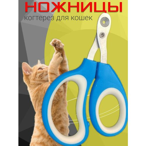 Ножницы - когтерез с ограничителем для стрижки когтей кошек, мелких питомцев, для груминга.