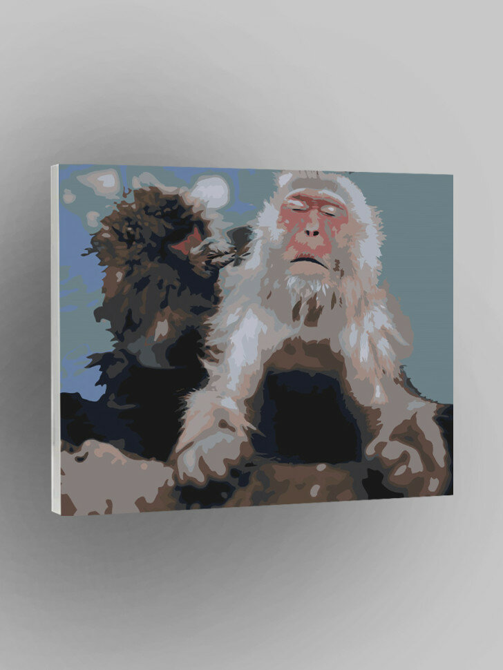 Картина по номерам "Пара обезьян"