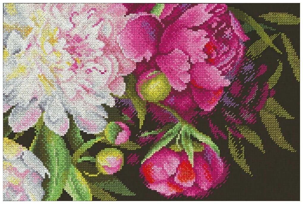 Набор для вышивания М. П. Студия "Королевские пионы" 18x27 см, Пионы Цветы