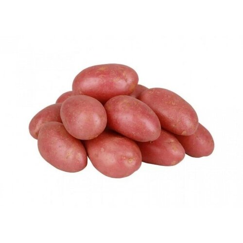 Семенной картофель 'Фаворит' 2 кг Элита, р/р 28/55 семенной картофель гулливер 2 кг элита р р 28 55