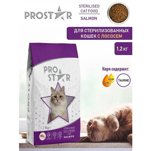 Сухой полнорационный корм для кошек PROSTAR Adult Cat Food Salmon с лососем 1,2 кг