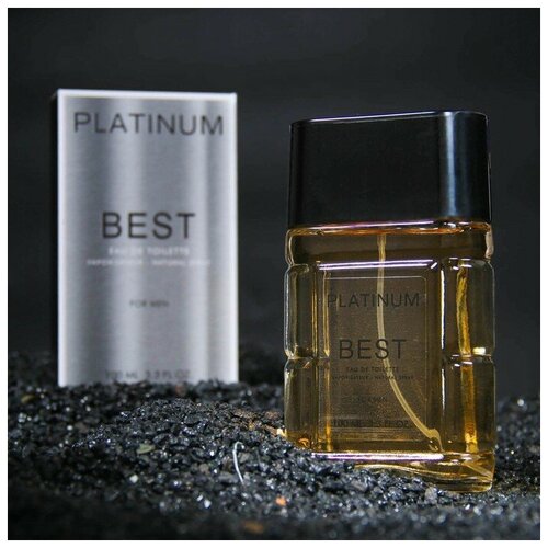 Туалетная вода мужская Platinum Best, 100 мл туалетная вода мужская platinum best платинум бест 100ml