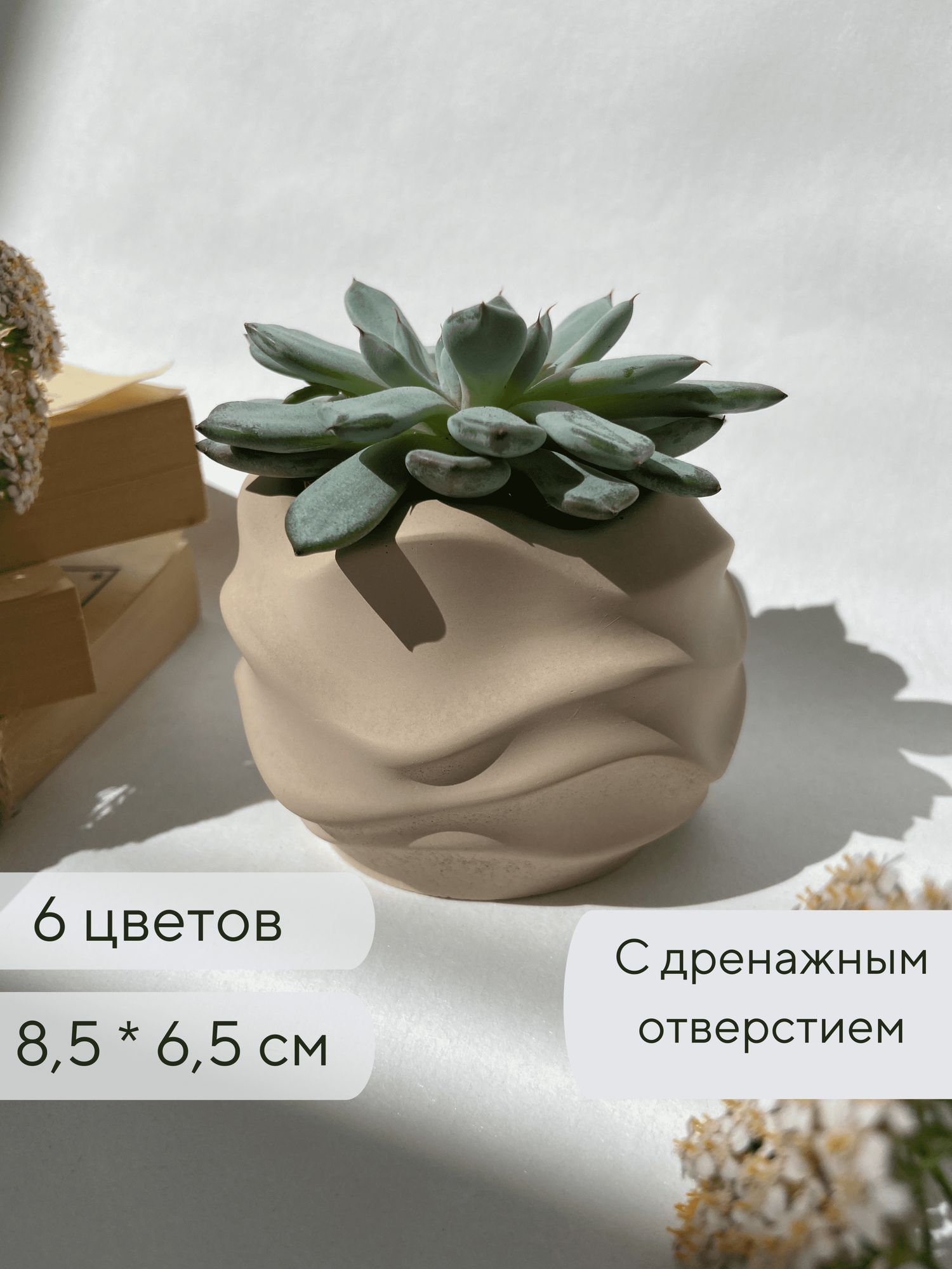 Кашпо для суккулентов / Горшок для кактусов 85 х 65 см