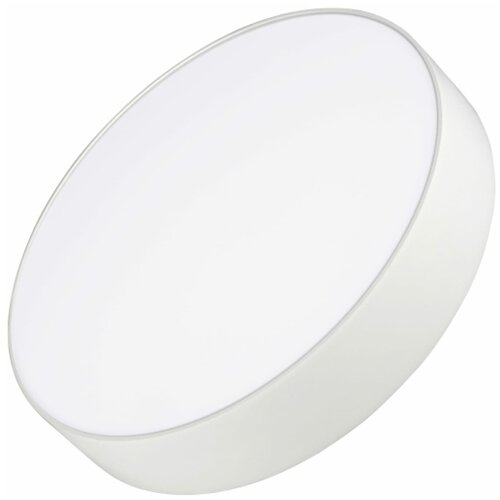 Arlight  SP-RONDO-250A-30W Day White (Arlight, IP40 ) 022232