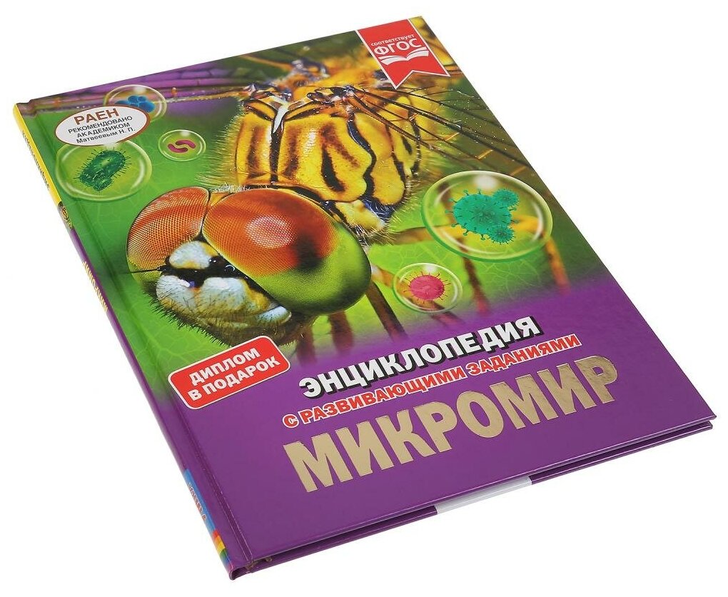Микромир. Энциклопедия с развивающими заданиями - фото №7