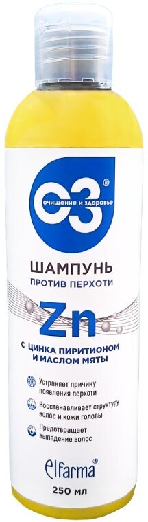 Эльфарма Шампунь Очищение и Здоровье против перхоти с цинка пиритионом 250 мл 1 шт
