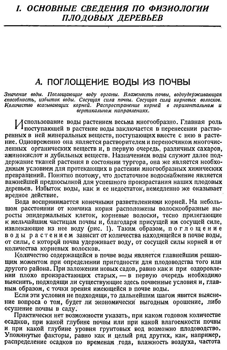 Книга Научные основы плодоводства - фото №3