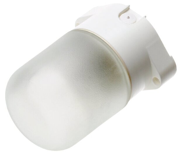Светильник ЭРА НББ 01-60-001 для бани пластик/стекло прямой IP65 E27 max 60Вт 135х105х84 белый - фотография № 9