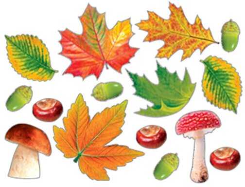 Набор украшений "Листья и грибы" на скотче, 15 элементов