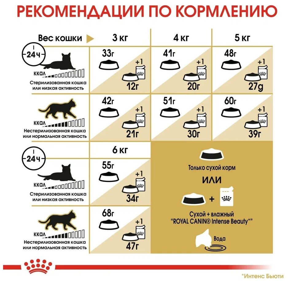 ROYAL CANIN Siamese 400 г для сиамских кошек старше 12 месяцев - фотография № 6