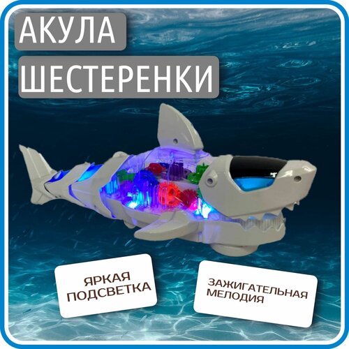 фото Акула робот музыкальная игрушка с шестеренками miksik