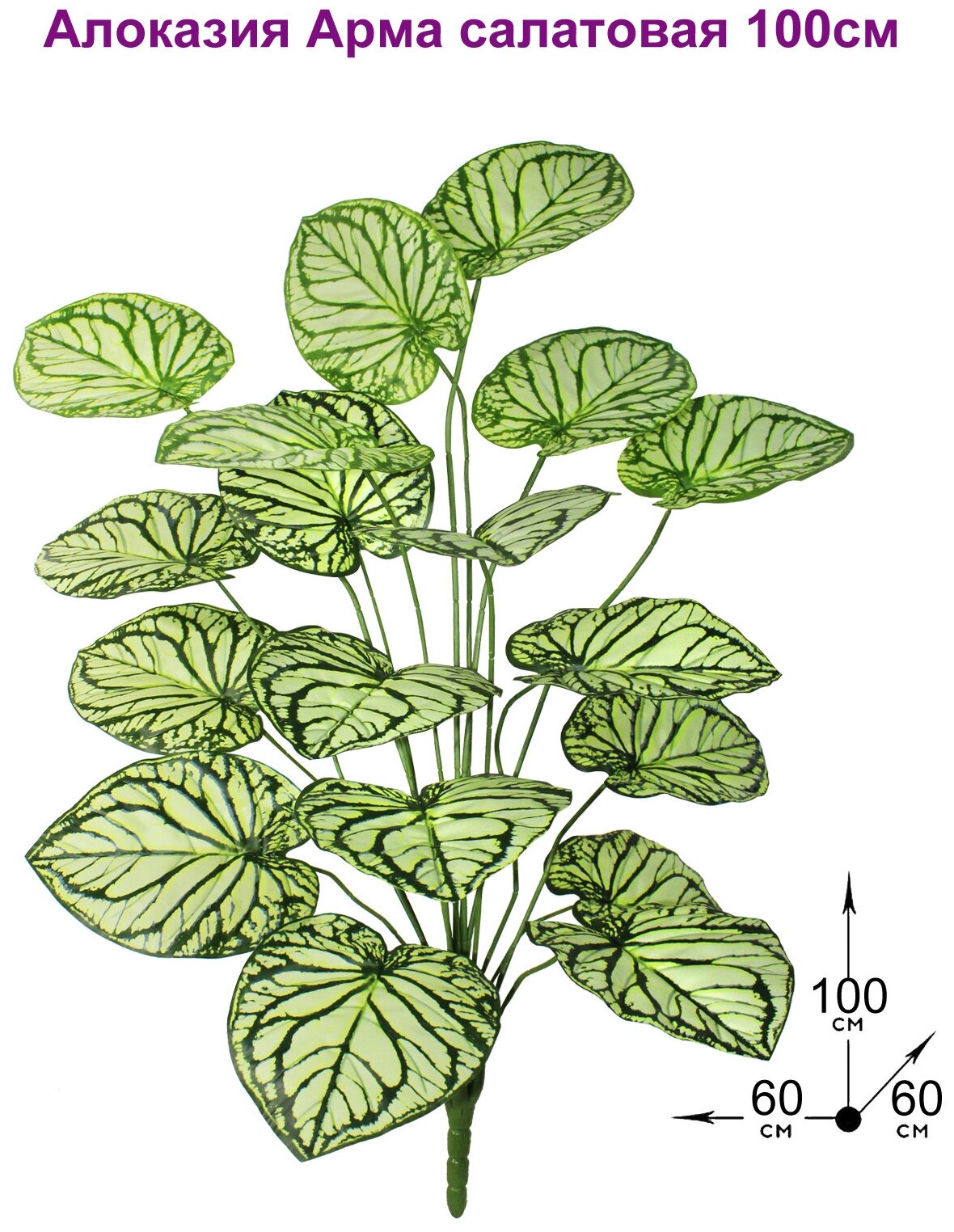Искусственное растение Алоказия Арма салатовая от ФитоПарк
