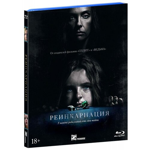 Реинкарнация (Blu-Ray) + артбук кладбище домашних животных 1989 blu ray артбук