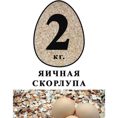 Яичная скорлупа 2 кг