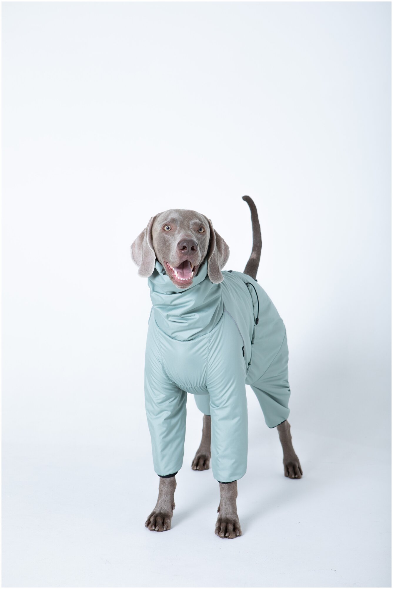 Утепленный комбинезон для собак средних и крупных пород, цвет олива, Д1 - фотография № 5