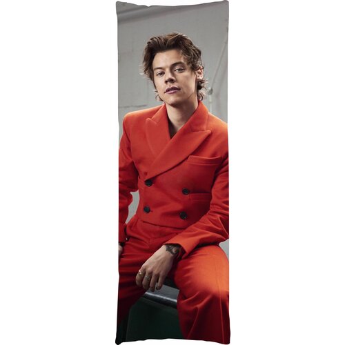 Мини дакимакура Гарри Стайлс Harry Styles