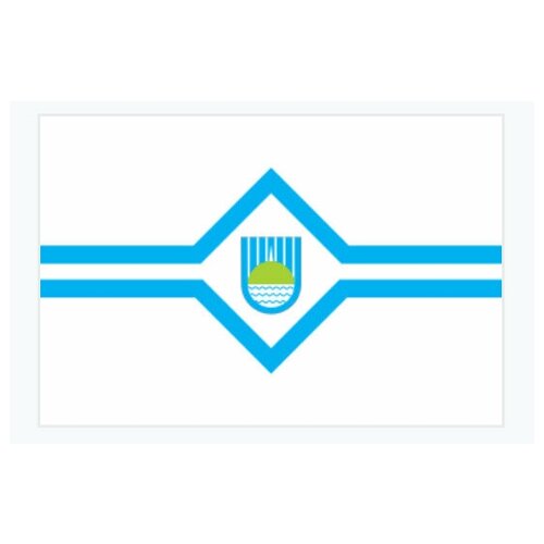 Флаг города Биробиджан 70х105 см