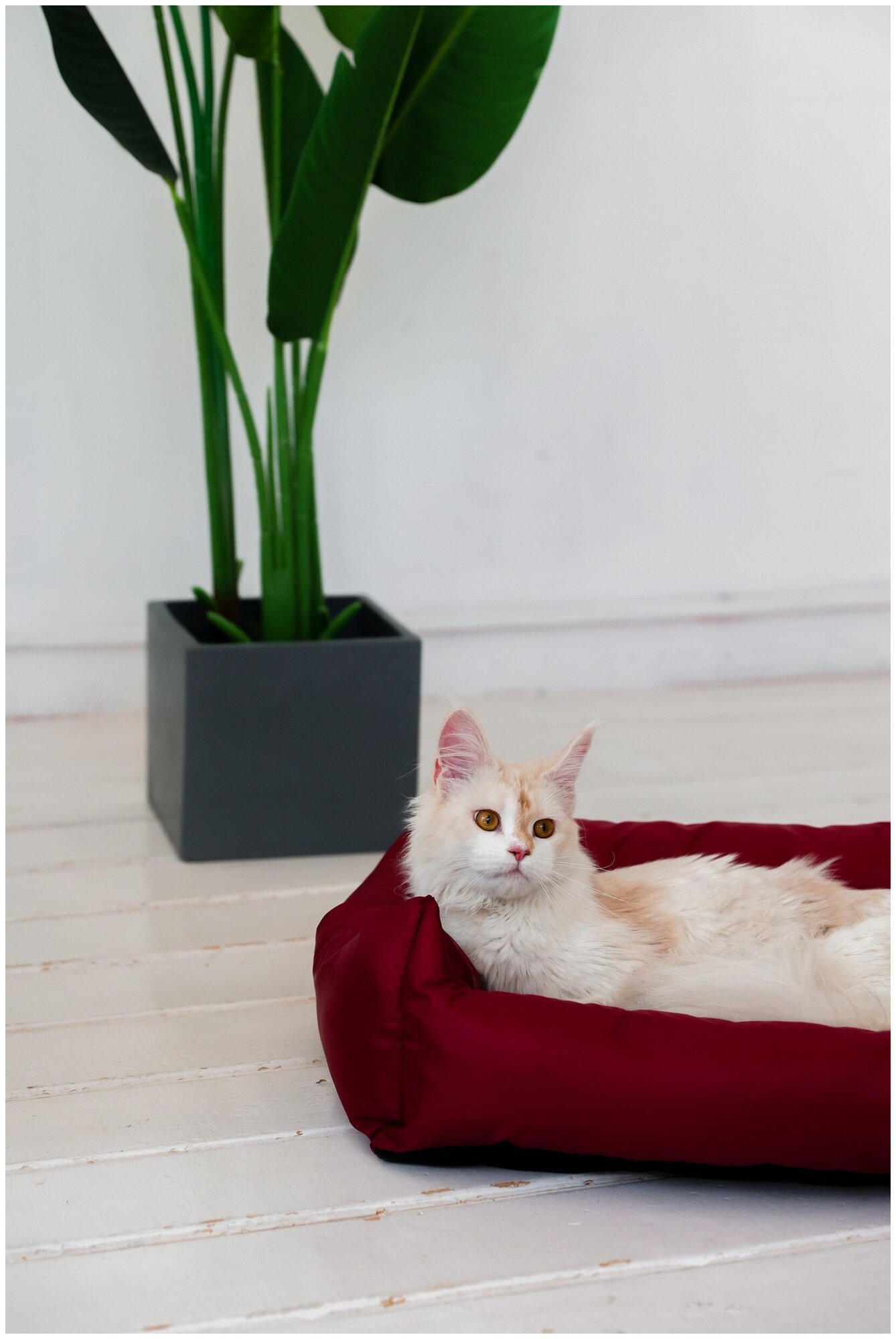 Лежанка пухлик "Atika" для кошек и собак "джой" Бордо (46*36*18см) - фотография № 8