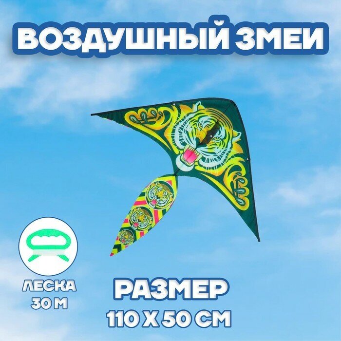 Funny toys Воздушный змей «Тигр», с леской