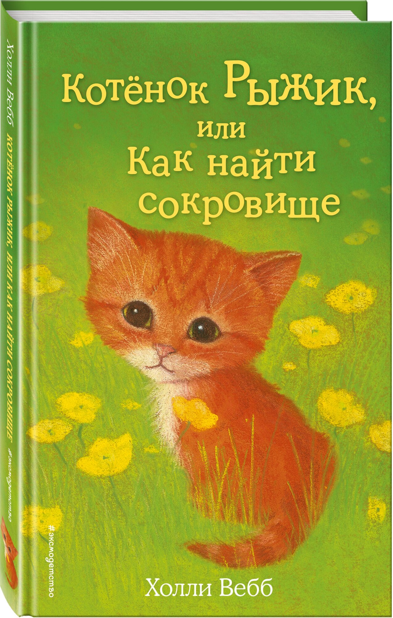 Вебб Х. Котёнок Рыжик, или Как найти сокровище (выпуск 13)