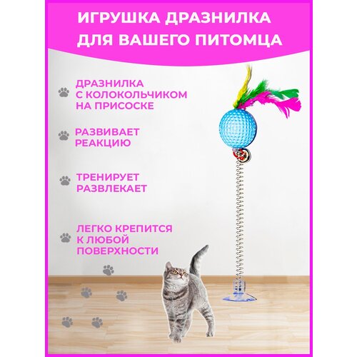 Игрушка для кошек интерактивная дразнилка для кошек, игрушка на присоске для котят мячик