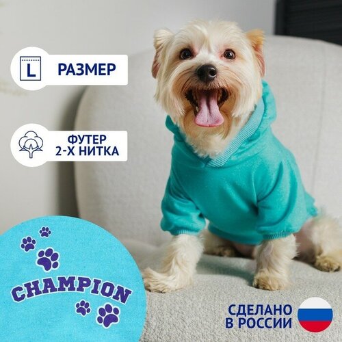 Толстовка Champion для собак (футер), размер L (ДС 35, ОШ 32-33, ОГ 44-48), голубая