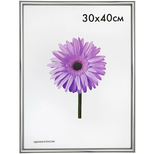Фоторамка MARIA 300х400мм серебро пластик