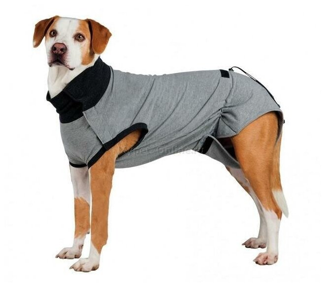 Попона для собак Trixie Protective Body, размер M–L, размер 50см, серый