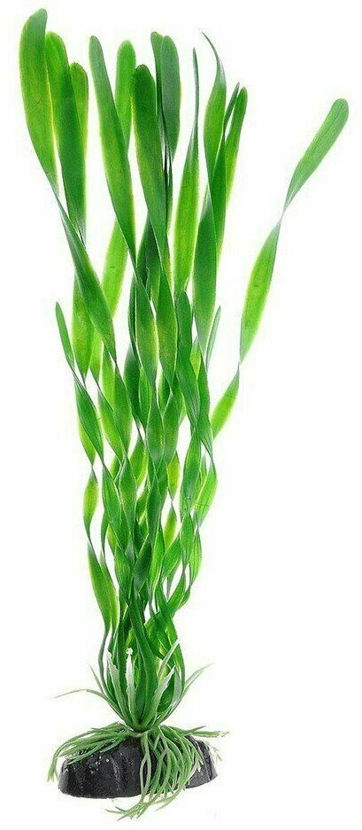 Пластиковое растение Barbus Валиснерия спиральная 30 см.