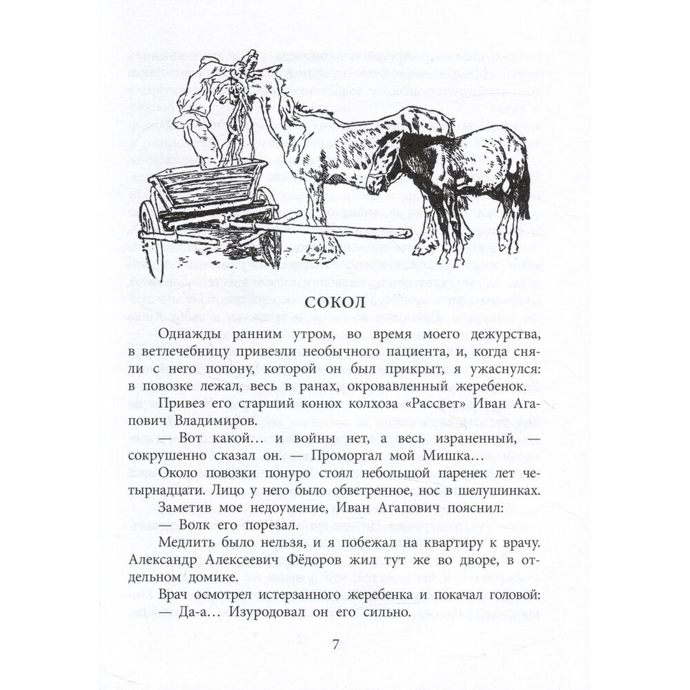 Пират, ищи! (Великанов Василий Дмитриевич) - фото №12