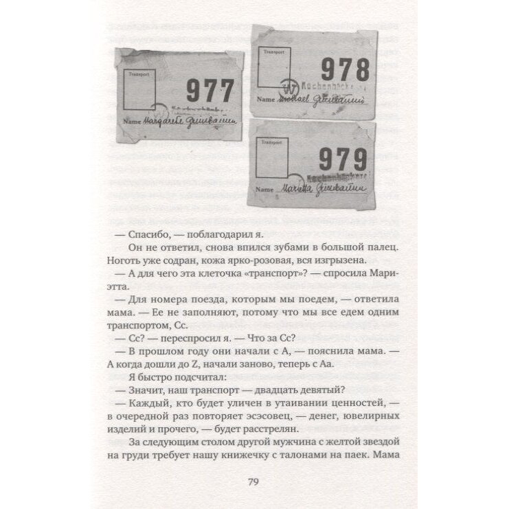 Где-то в мире есть солнце. Свидетельство о Холокосте - фото №12